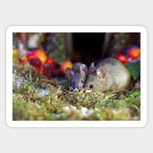 pair of  mice at winter log cabin very festive Sticker